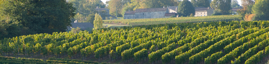 -saint-emilion-